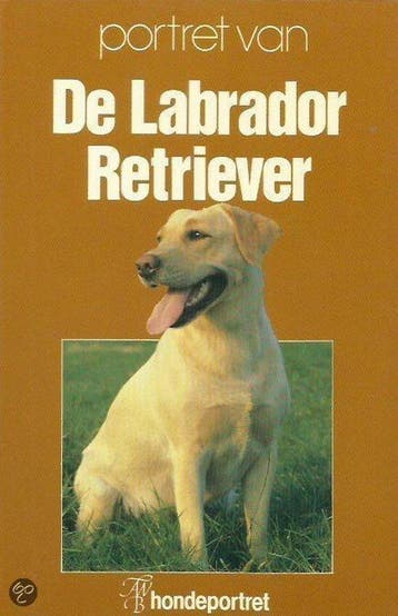 Labrador retriever, Verzenden, Nieuw