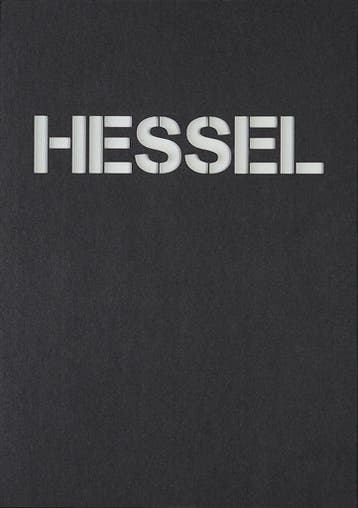 Hessel 9789083226682 Hessel Bosch, Livres, Art & Culture | Photographie & Design, Verzenden, Hessel Bosch