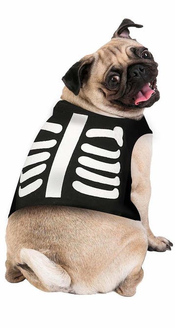 Halloween Dieren Kostuum Skelet Mascotte, Hobby en Vrije tijd, Verzenden, Nieuw