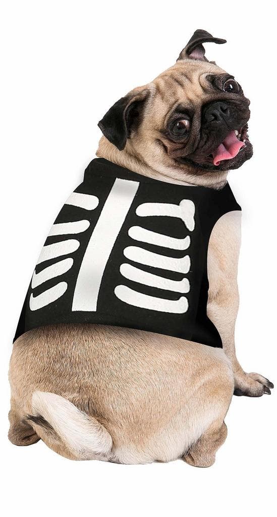 Halloween Dieren Kostuum Skelet Mascotte, Hobby en Vrije tijd, Feestartikelen, Nieuw, Verzenden