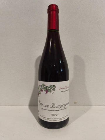 2021 Joseph Germain - Coteaux Bourguignons - 6 Bouteilles, Nieuw