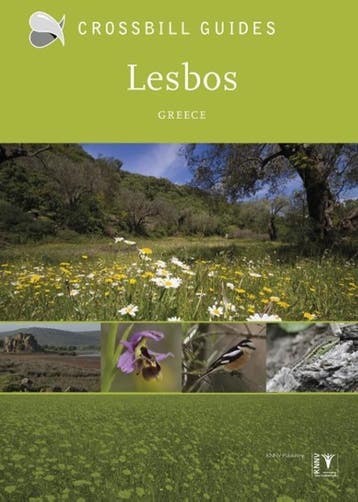Lesbos | Alex Tabak; Dirk Hilbers | Nieuw, Verzenden, Alex Tabak; Dirk Hilbers