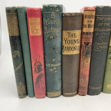 Ballantyne; Ascot Hope; Meade; Goulding and others -