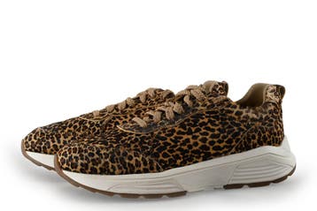 Xsensible Sneakers in maat 40 Panter, Kleding | Dames, Schoenen, Xsensible, Overige kleuren, Verzenden, Sneakers