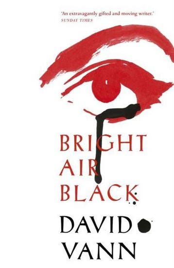 Bright air black 9780099592266 David Vann, Verzenden, Gelezen, David Vann