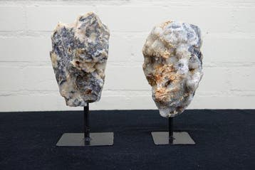 Sphalerite tower op standaard Taxidermie volledige montage -, Nieuw