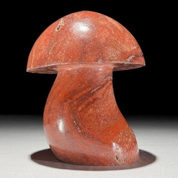 Sans prix de réserve - Sculpture de champignon en jaspe