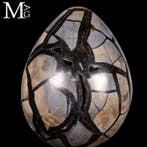 Dragon Stone Fascinerend septaria-geode-ei - Hoogte: 158 mm