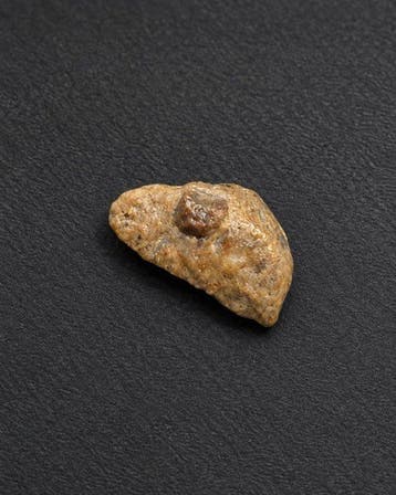 Exceptional Lunar Meteorite Laâyoune 002 – Feldspathic