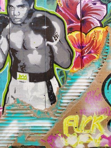 Romu - Boxeur