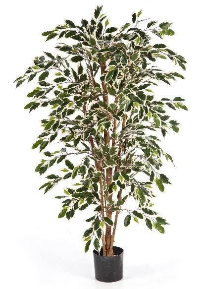 Kunstplant Ficus Nitida Mixed 210 cm, Maison & Meubles, Plantes d'intérieur, Envoi