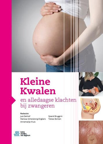 Kleine Kwalen en alledaagse klachten bij zwangeren, Livres, Livres d'étude & Cours, Verzenden