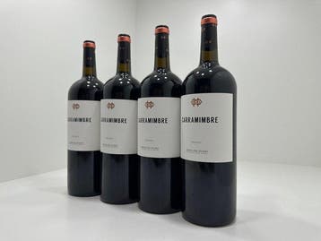 2023 Carramimbre - Ribera del Duero Crianza - 4 Magnums, Nieuw