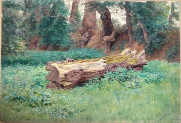 Jules Girardet (1856-1938) - Paysage à l’arbre - Souche