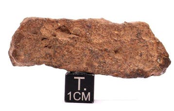 NWA 15788 HED achondrite diogénite polymictique brèche
