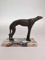 Beeldje, LEVRIERO VIGILE - 18 cm - Brons, Antiek en Kunst