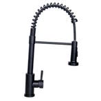 Lendo Online Keukenkraan RVS Uittrekbare Uitloop Zwart, Huis en Inrichting, Verzenden, Nieuw