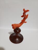 Corail Corail - corallium rubrum, Collections
