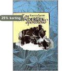 Een wonderlijk oponthoud / Argentum-serie 9789039505564, Verzenden, Gelezen, K. Emous