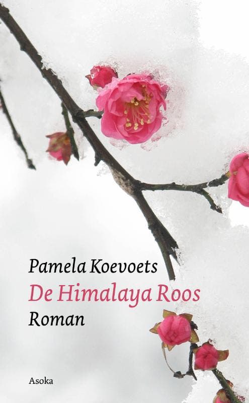 De Himalaya Roos 9789056702540 Pamela Koevoets, Boeken, Romans, Zo goed als nieuw, Verzenden