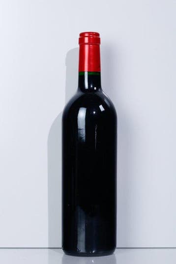 1995 Château Palmer - Margaux, Bordeaux 3ème Grand Cru