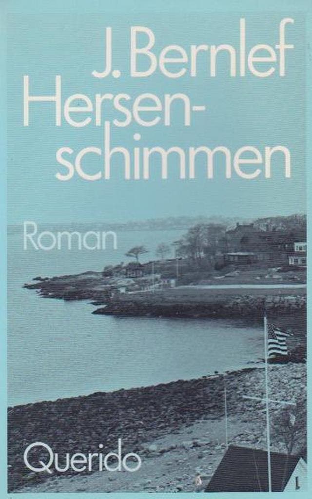 Hersenschimmen 9789021451817 J. Bernlef, Boeken, Romans, Gelezen, Verzenden