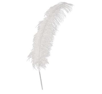 Witte Struisvogelveren 50cm 12st, Verzenden, Nieuw