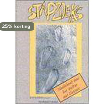 Stapzoeks 9789065652706 R. SOMERS, Verzenden, Gelezen, R. SOMERS