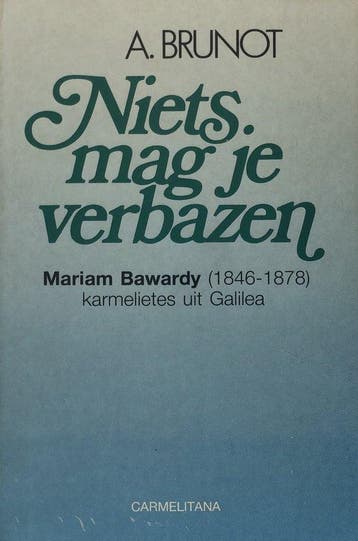 Niets mag je verbazen - AmÉDÉE, Verzenden, Nieuw