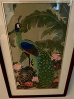 Tozuka - De betoverende Pauw