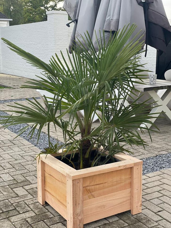 bloembakken in elke  maat en kleur, Tuin en Terras, Bloembakken en Plantenbakken, 60 cm of meer, 100 cm of meer, Binnen, Balkon