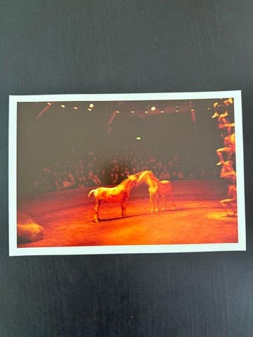 Nan Goldin - Horse Circus, Antiek en Kunst