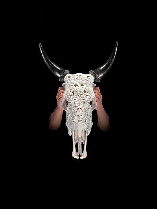 GEEN MINIMUMPRIJS - Prachtige witte koe-schedel met de hand, Antiek en Kunst, Kunst | Niet-Westerse kunst