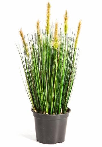 Kunstplant Vossenstaart Gras Groen 60 cm, Verzenden