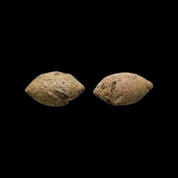 Oud-Grieks Lood Sling Bullet - 33.4 mm (Zonder minimumprijs)