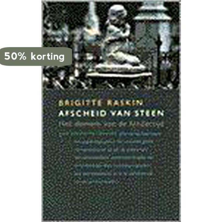 Afscheid van steen 9789050183291 B. Raskin, Boeken, Romans, Gelezen, Verzenden