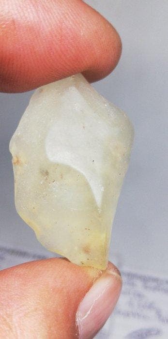 Lot de 4 types Célèbre de Tectite SANS PRIX DE RESERVE