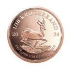 Gouden munt Krugerrand 2024 Proof 1/10 troy ounce
