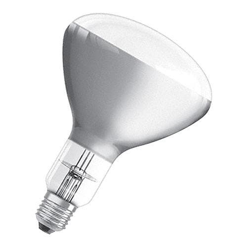 Warmtelamp wit los 250W CaterChef, Articles professionnels, Horeca | Équipement de cuisine, Envoi