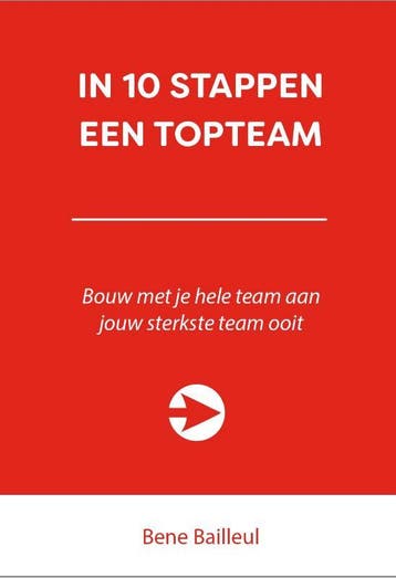In 10 stappen een topteam / 10 stappen 9789492926555, Boeken, Verzenden, Zo goed als nieuw, Bene Bailleul