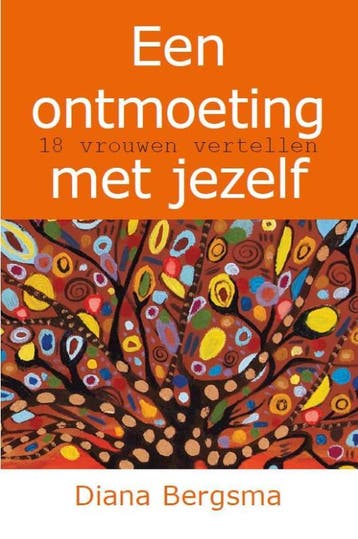 Een ontmoeting met jezelf 9789065233424 Diana Bergsma, Verzenden, Gelezen, Diana Bergsma