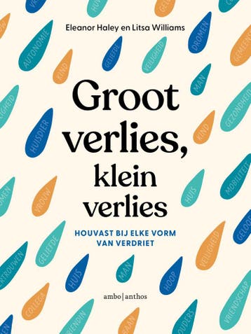 Groot verlies, klein verlies 9789026361579 Eleanor Haley, Verzenden, Eleanor Haley