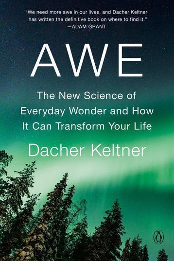 Awe 9781984879707 Dacher Keltner, Verzenden, Gelezen, Dacher Keltner