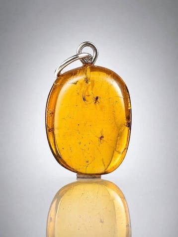 Prachtige transparante Baltische barnsteenhanger – Twee oude