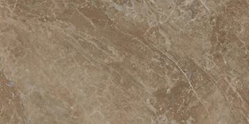 VERSACE Marble Marrone 60x120 Hoogglans Vloertegel en, Ophalen of Verzenden, Nieuw