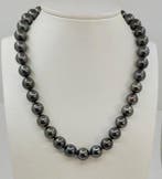Halsketting PSL gecertificeerde Tahitiaanse parels - 10,0 ×, Handtassen en Accessoires, Nieuw