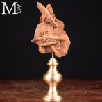 Cabinet de Curiosity - Desert Rose Kristallen - messingbasis, Verzamelen