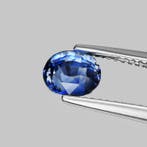 Blauw Saffier - 1.74 ct - Gemological Institute of America