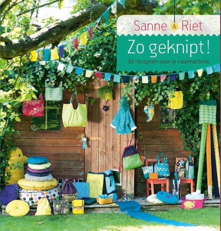 Zo geknipt! 9789461311153 Riet van de Walle, Livres, Loisirs & Temps libre, Envoi