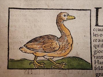 Sebastian Münster (1489–1552) - Cosmographie Universelle -